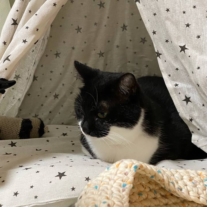 681e4a27 f953 46b2 b98b 5b41e94ffce9 1631019038133