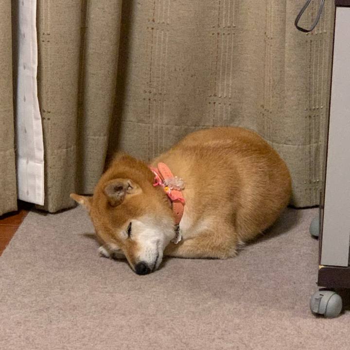 681e5fd2 a18c 4522 99c1 2036dc0ce070 1572617839178