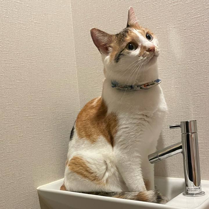 681e82b3 607d 49cf a22d f66203775aaa 1724505867025