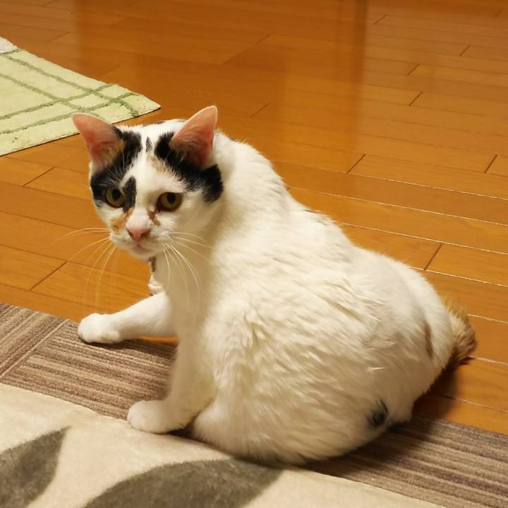 681ea963 b8a8 45f0 a86c 7b780389aee5 1515414557918