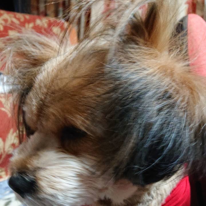 681ec905 c9e7 4269 8ea2 da7a4090900d 1581156757140