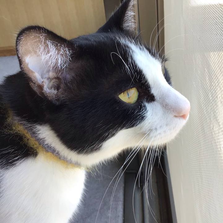 681ee264 d5fc 4a72 81ac 171183ed04c5 1653700562058