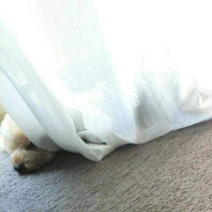 681ef48f bba7 4f6e 95c7 8c9e24d9ac7f 1538540504107