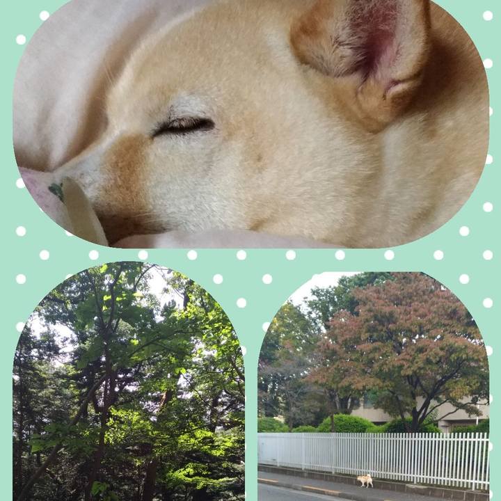 681f5ea3 bb5c 4f18 9cb3 d57c39f89ae1 1601646666804