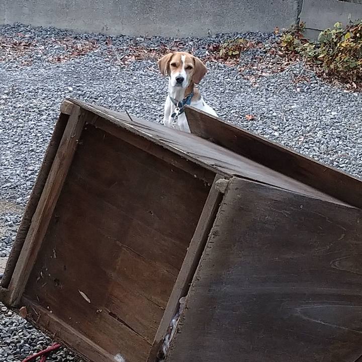 681f6f0f a1dd 4e1e 8c42 7d98db2c26bf 1575430536935