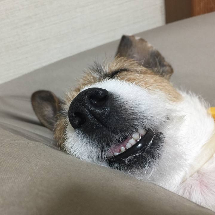 681f8860 f433 4e28 ada1 6aa09c5012a7 1514736199052