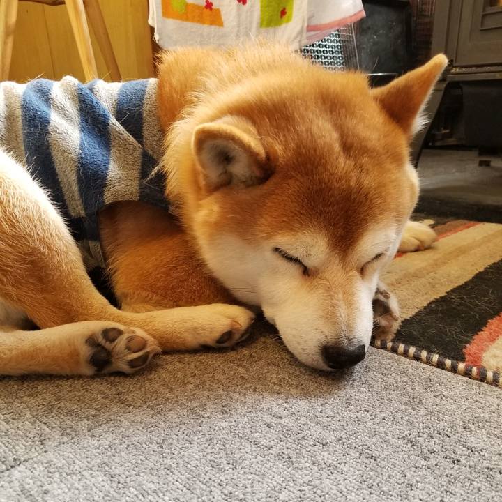 681f9365 b433 4e89 88ec 136eadc8258b 1582071605959