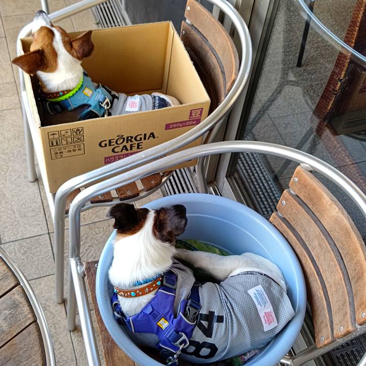 681fa832 585d 4071 8831 b2e4b1346450 1623978496360