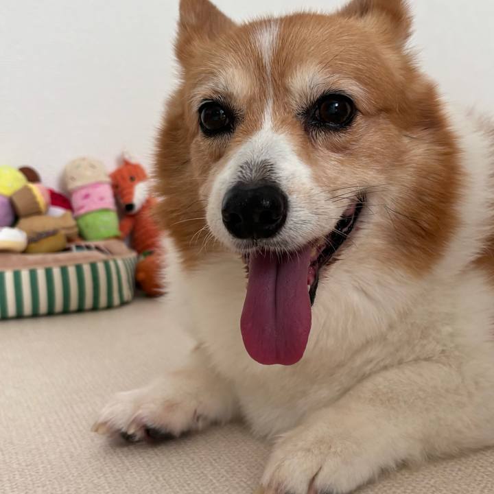 681fc844 6bdc 4bfc 8b34 b04324a8386a 1755134499397