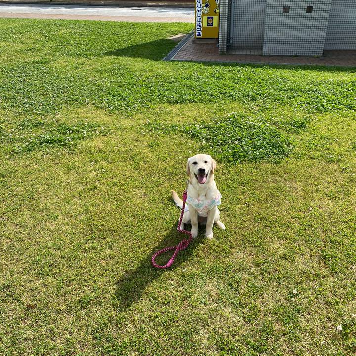 681fccd0 fcee 450c 97c5 456176c4c34e 1620474286733