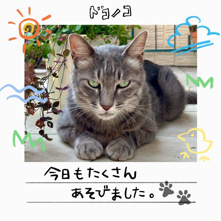 681ff51f e8f3 4e4f 9ced e7a0d5840101 1755351957662