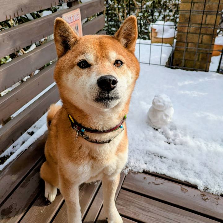 682030b9 42a1 4dfb b1de b1104ea6f85c 1770530834578