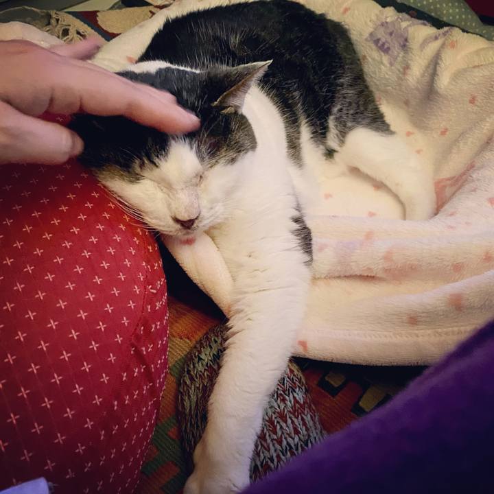 68208ed3 b4c0 4afb 9191 24c5d6e38cc7 1639825884687