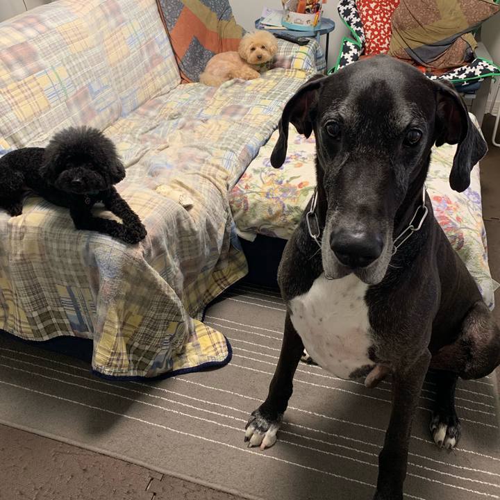 6820a262 3583 487b a87e 7d8b23a536ff 1561329837729