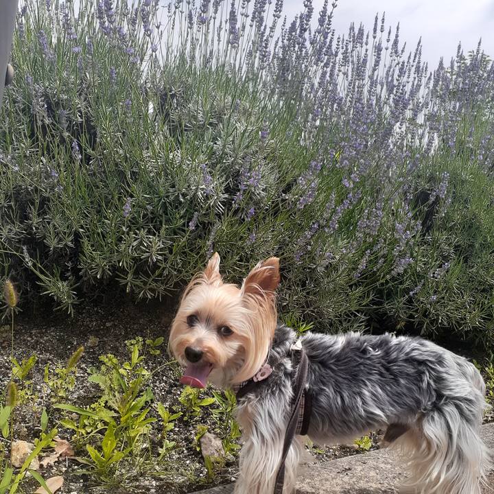 6820e14c 7fb6 476b 9cd8 981d00ff3685 1688708427687