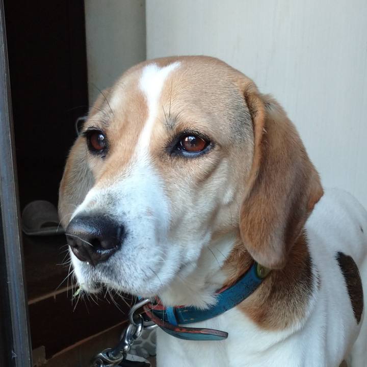 6820ee2f 16e3 4568 b76f 1c13aa0ae292 1608525833007