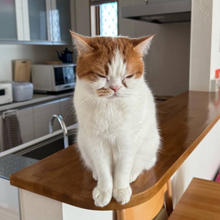 68213488 9800 4f44 a948 213aad9abf51 1765767517008