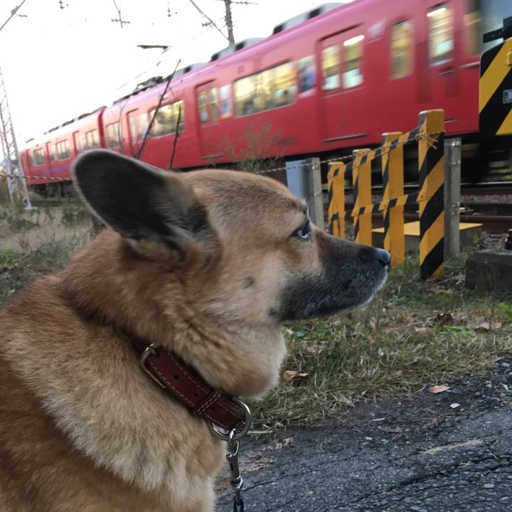 6821d7dd a2df 46bd 9d08 a34ea79d8f8d 1511257245570