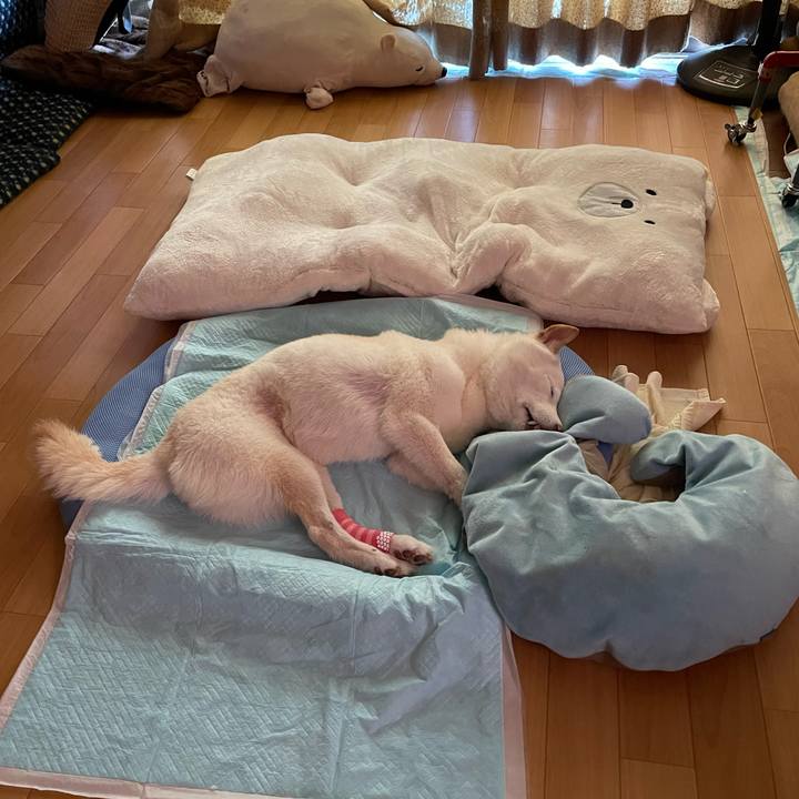 6821dc02 bd60 4451 90eb 64ff1a0c015e 1662526903695