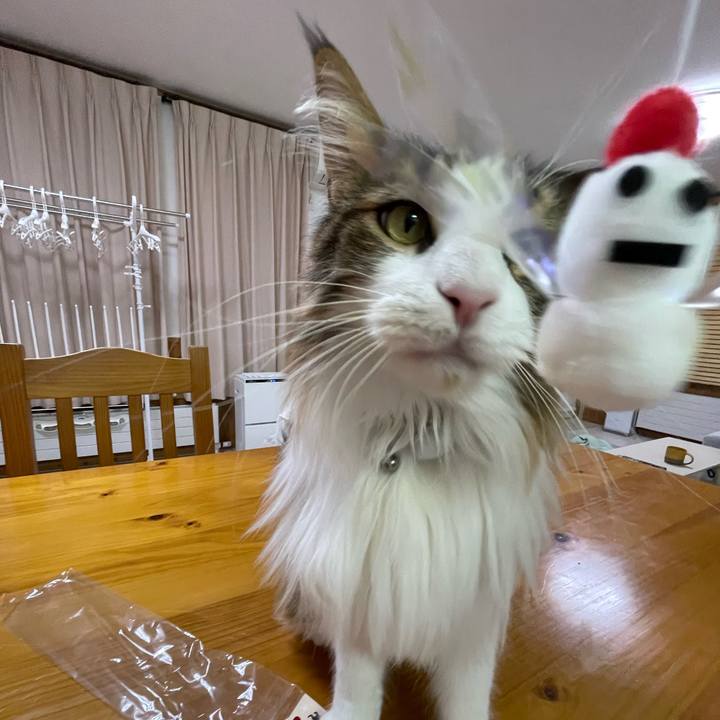 6821e043 61be 4013 8393 b60967adbec2 1671350829761