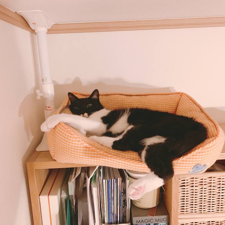 682216a3 685b 4ed5 b772 31a8b6702fe1 1560131690562