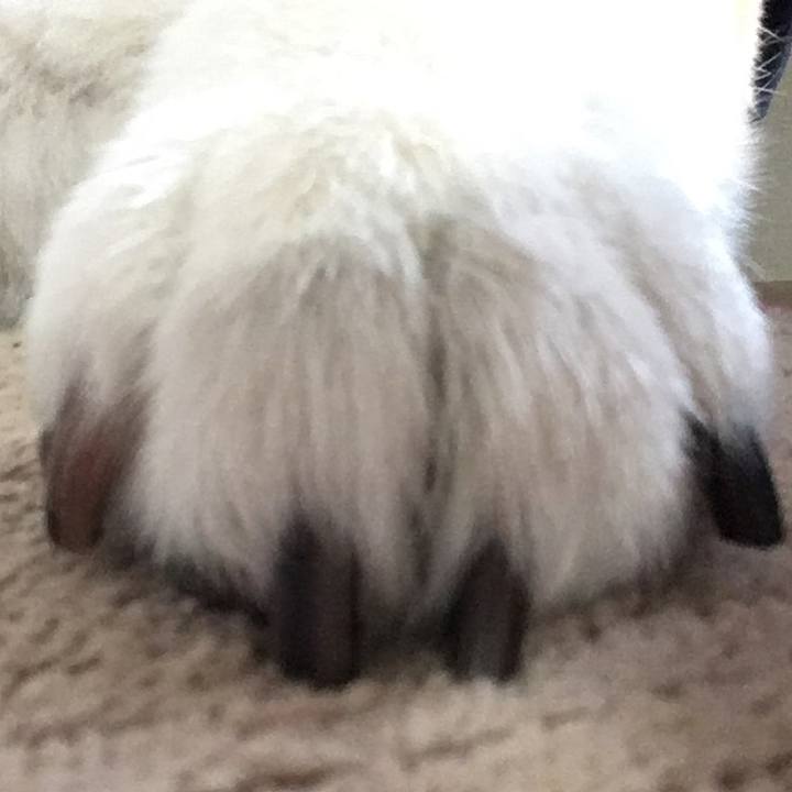 68222251 c709 41a1 913f e1c4c0e8a577 1576555564405