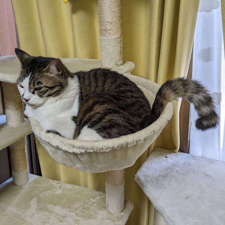 6822226c a2c2 42ec 980d 5f430f9120c7 1683282135120