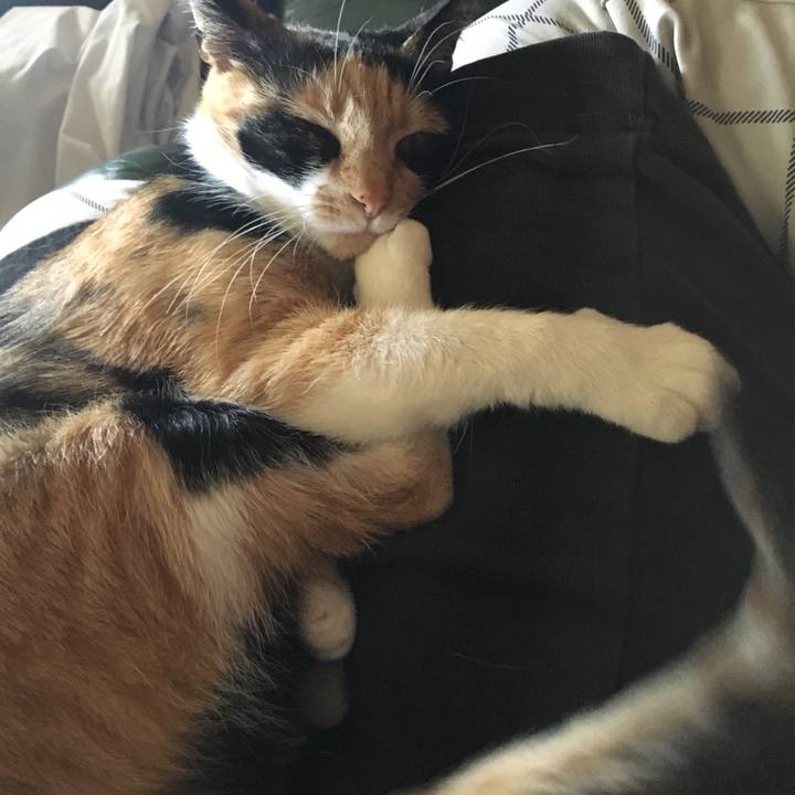 68222cba 6227 4aeb 9b8a 759006e91ff4 1523339343840