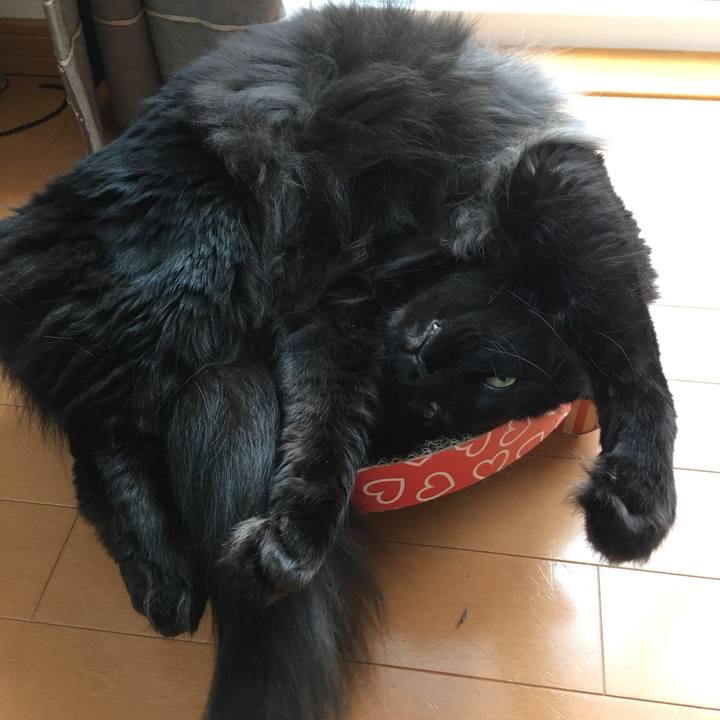 6822421b cfd5 41e4 ae3d 897710f39e92 1531192343499