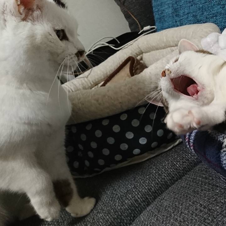 68224923 4b0d 49a8 8834 c342e2fac6d0 1542618005983