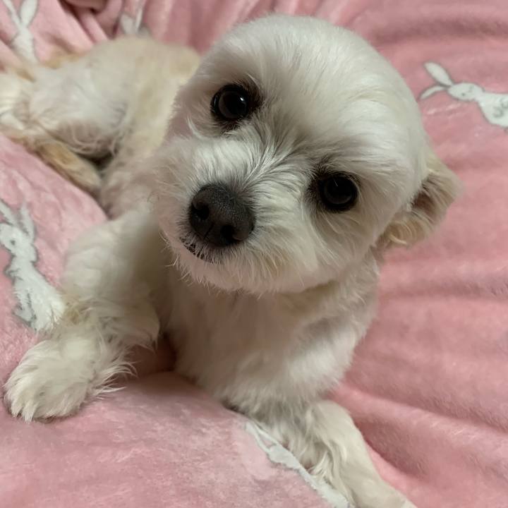 68224ffc 1207 4bcd 916a 76677ccef46b 1585564194477