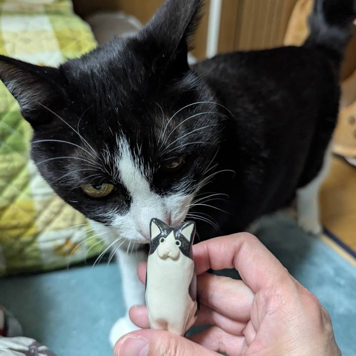 6822882a dc4e 427d 82e4 3f7bcccbf709 1746772932434