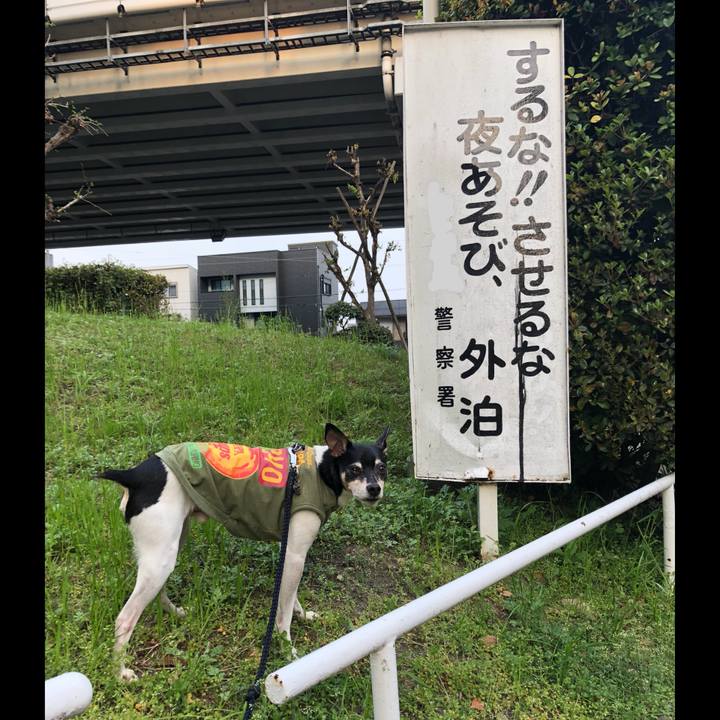 6822abdf 5b13 4f1f 9869 cb7f0d557423 1522967581537