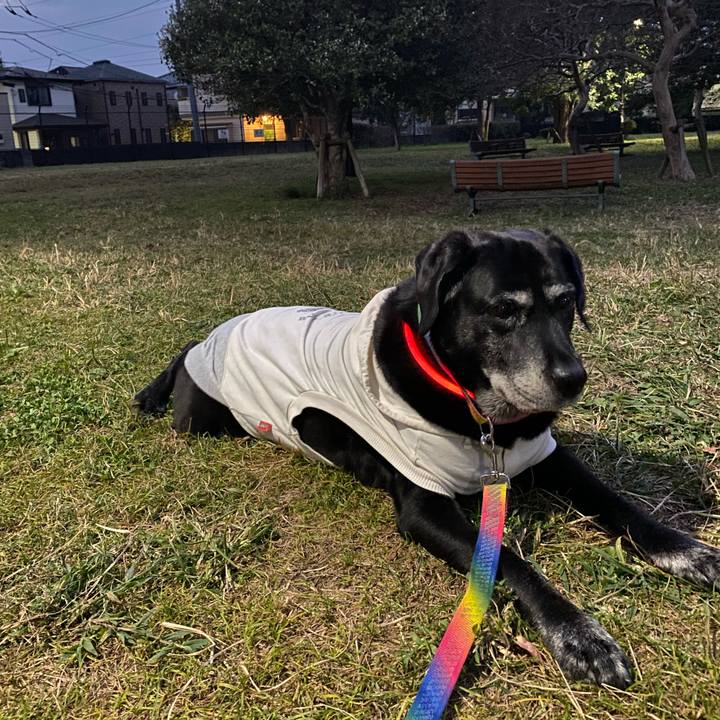 6822db7b ef53 4673 aade 1b9d504f3bf4 1698480806619