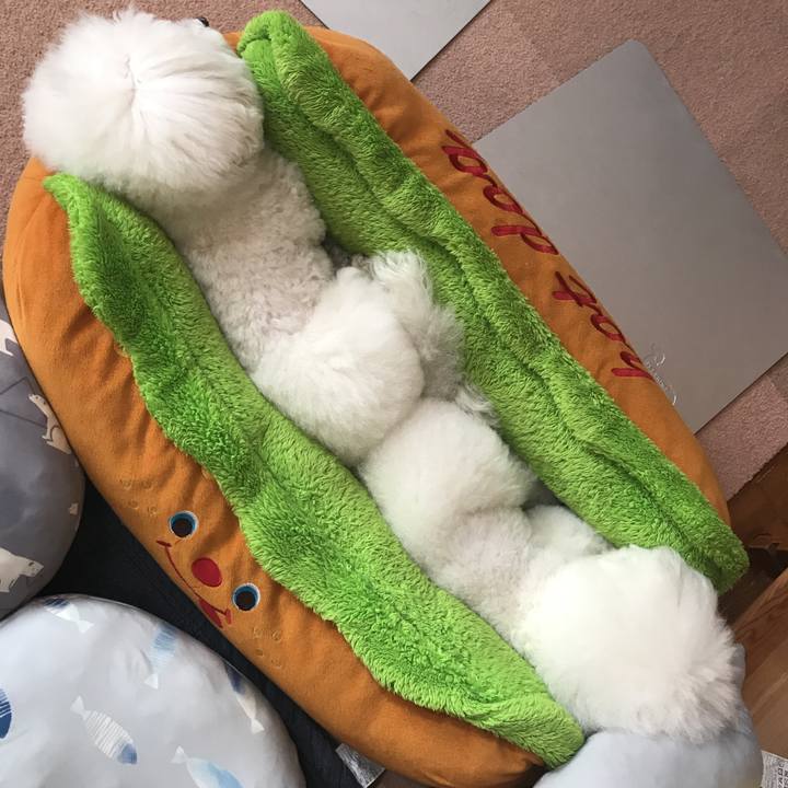 68230f1a 8c52 444a 8568 5607b605f9b3 1591501721363