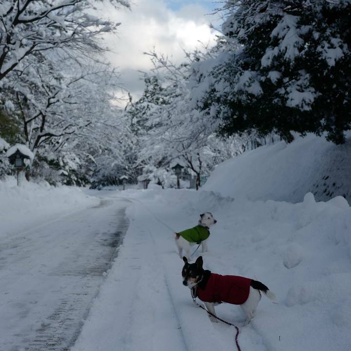 68232194 43ea 4c50 a0fc 7a4bca587678 1515904141698