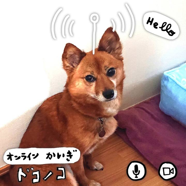 68233d9c 9551 4365 abe3 27a786308fb6 1590930497690