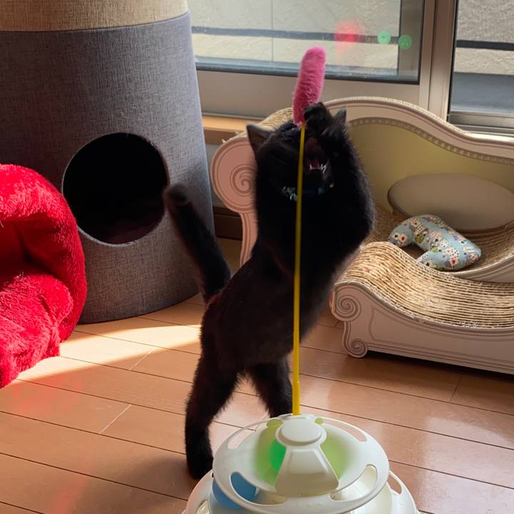 6823742e 8aac 449f ab98 a0aadff2163b 1636531609033