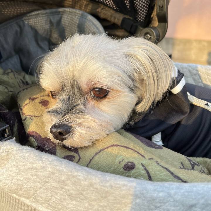 6823adb3 77e2 4df0 a5d0 b829874e8f40 1772425334022