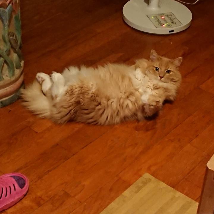 6823b838 b3b0 46fd 9620 5b322c448e55 1534907694556