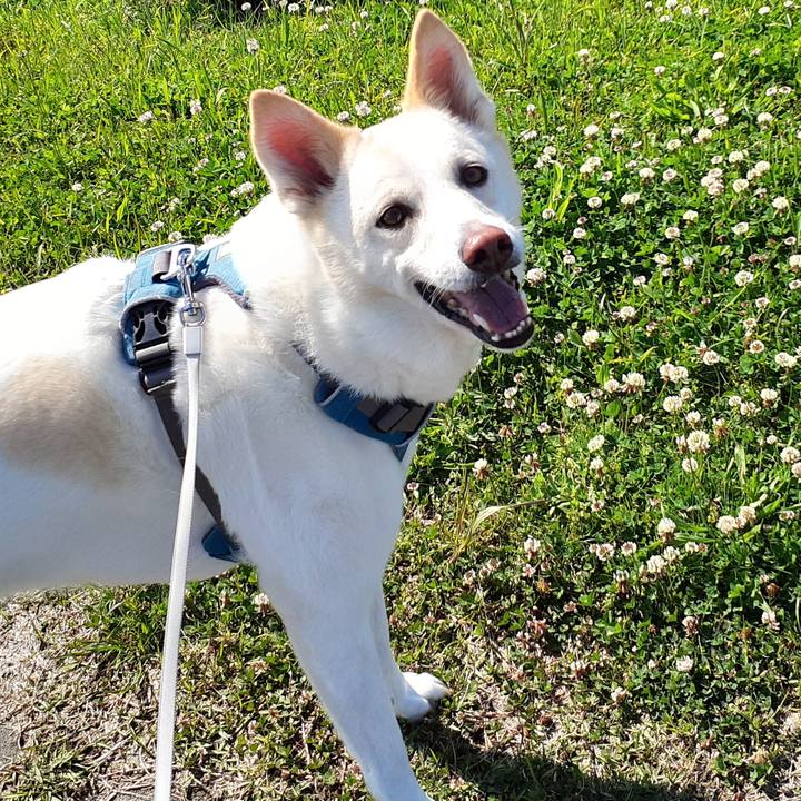 6823d3cf 5548 4fc2 8329 e4ce4a79fce6 1651550284982