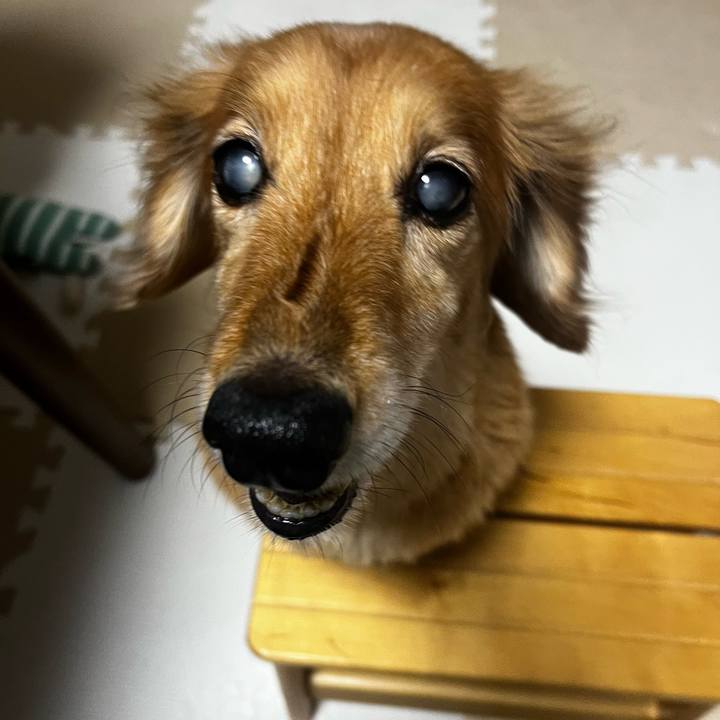 6823e4e0 1e64 4f90 9aa2 0912a6499fc5 1655734175611