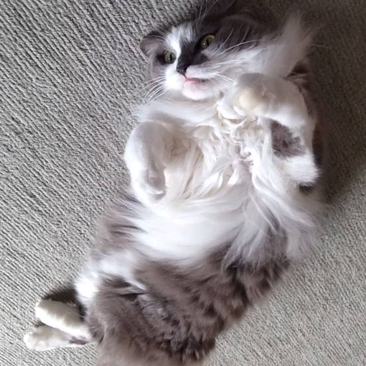 6823f2d2 0869 4345 97ec 7061cb07d1de 1746960305481