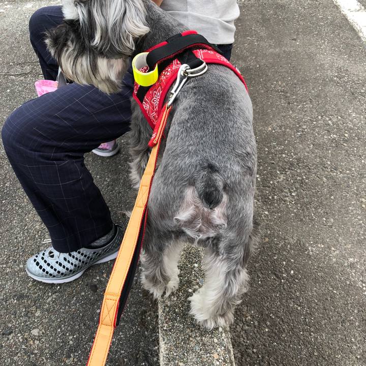 68246fdb a76a 4fc5 a242 d32664cd834f 1528619651905