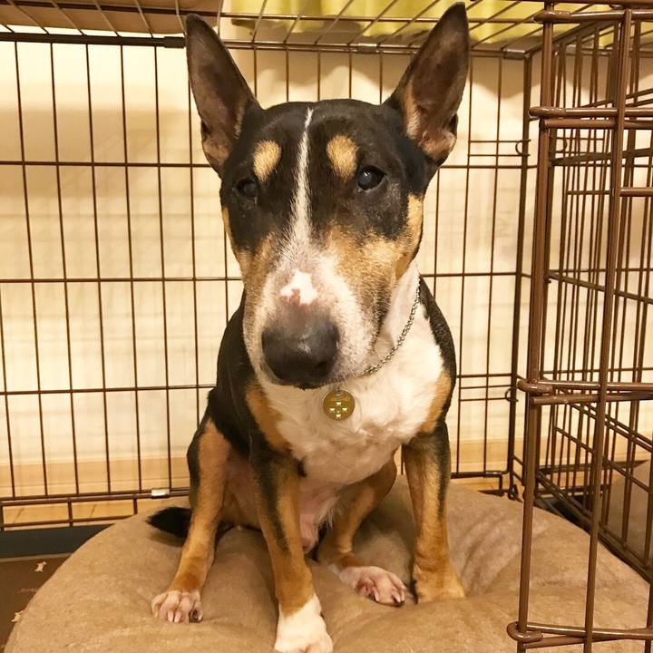 6824847e 0cc0 4331 8eba 980fd1299be9 1521629092303