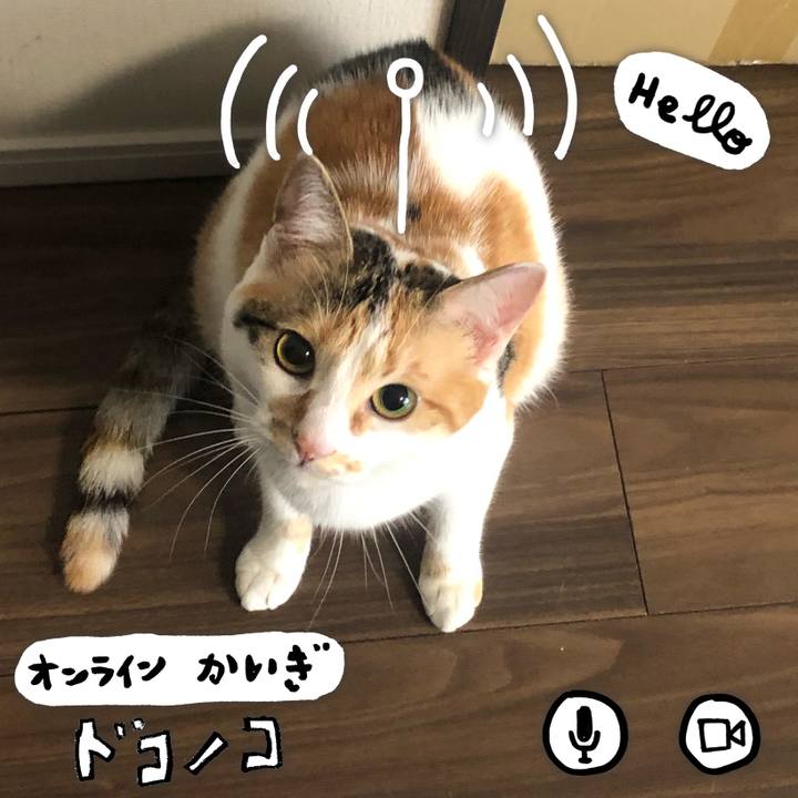 6824aca7 f3a2 4f4d 84b9 9324628bb8b6 1590708808604