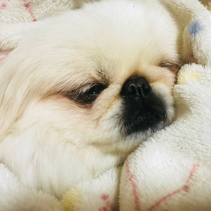 6824e6c0 5f47 42c5 aaee 9be19baec2ce 1550673471265