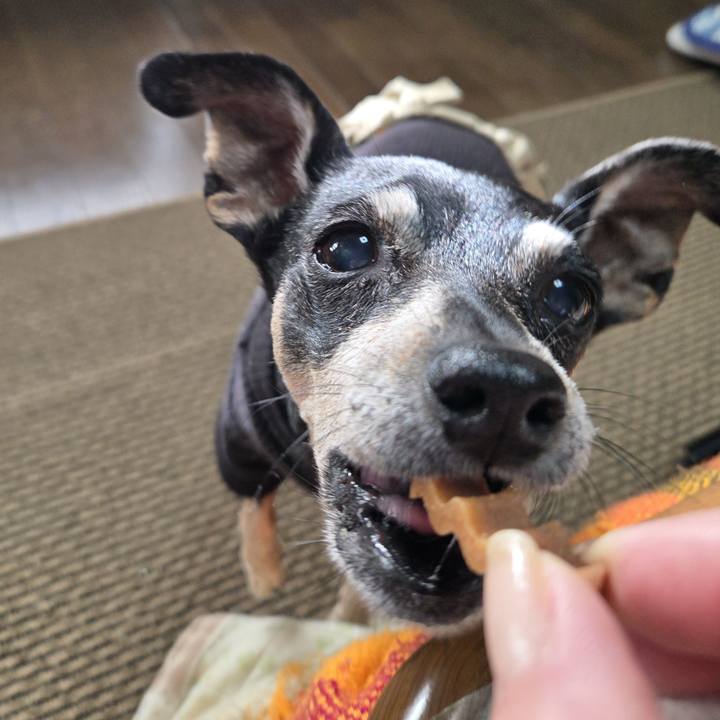 68251608 5fca 4add 8403 273ab227825e 1764134629003