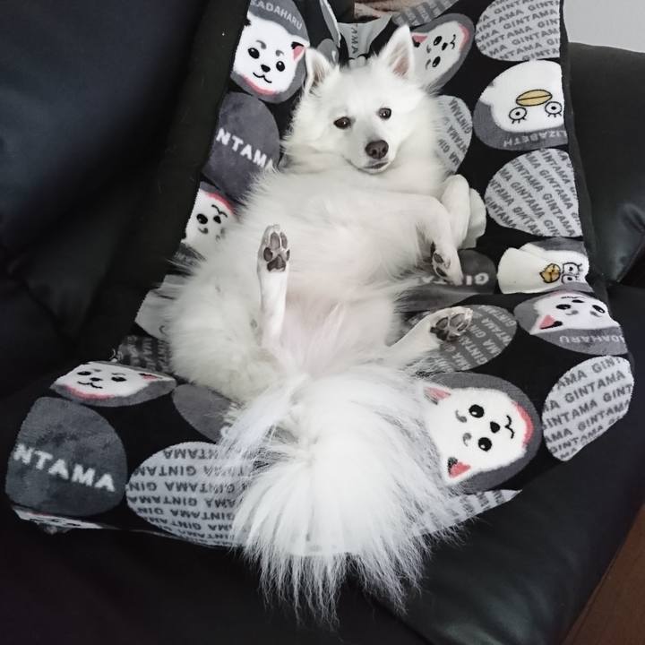 68254c29 7527 4033 9282 7db8176a169e 1559538984511