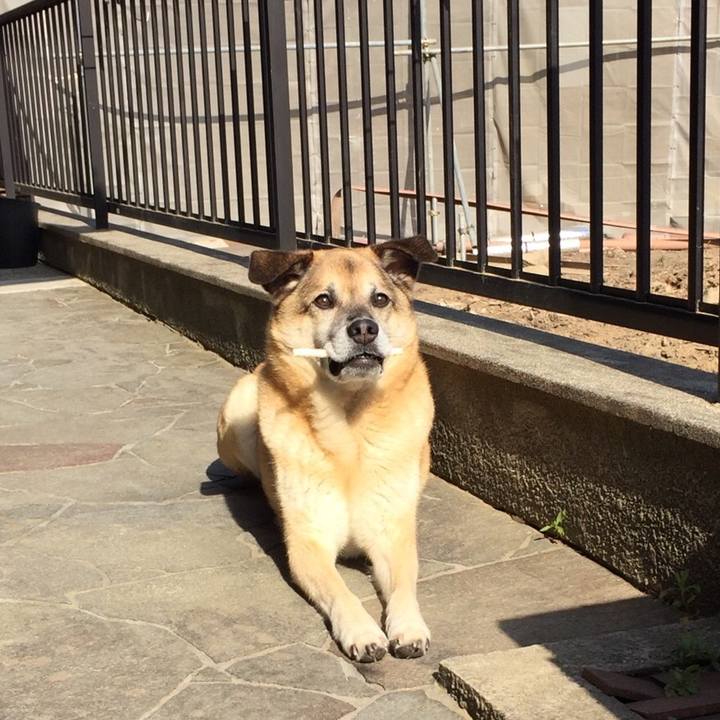 6825661b 35c9 44d4 81b6 b2a0b61345ca 1527376146728